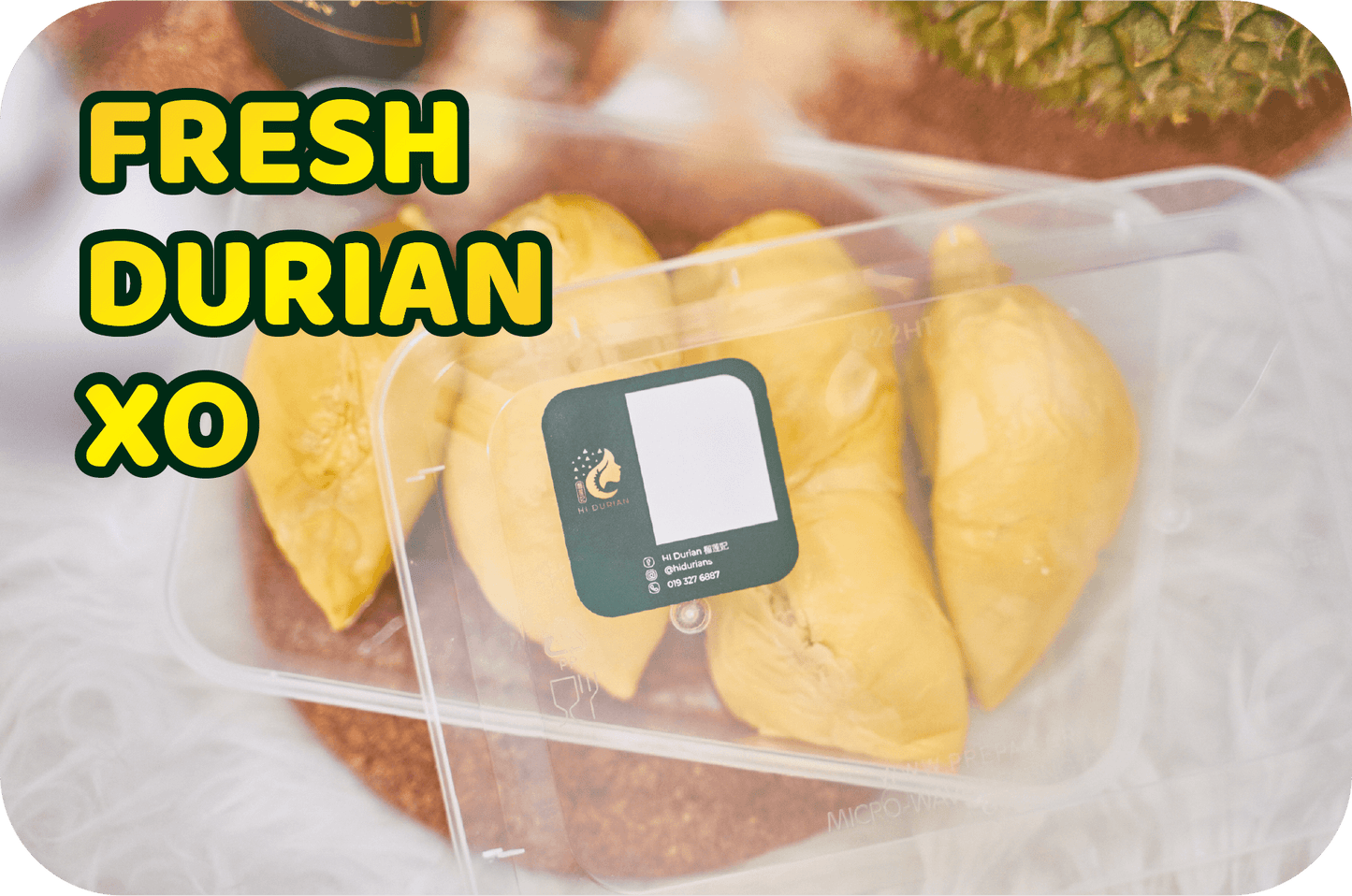 FRESH DURIAN XO
