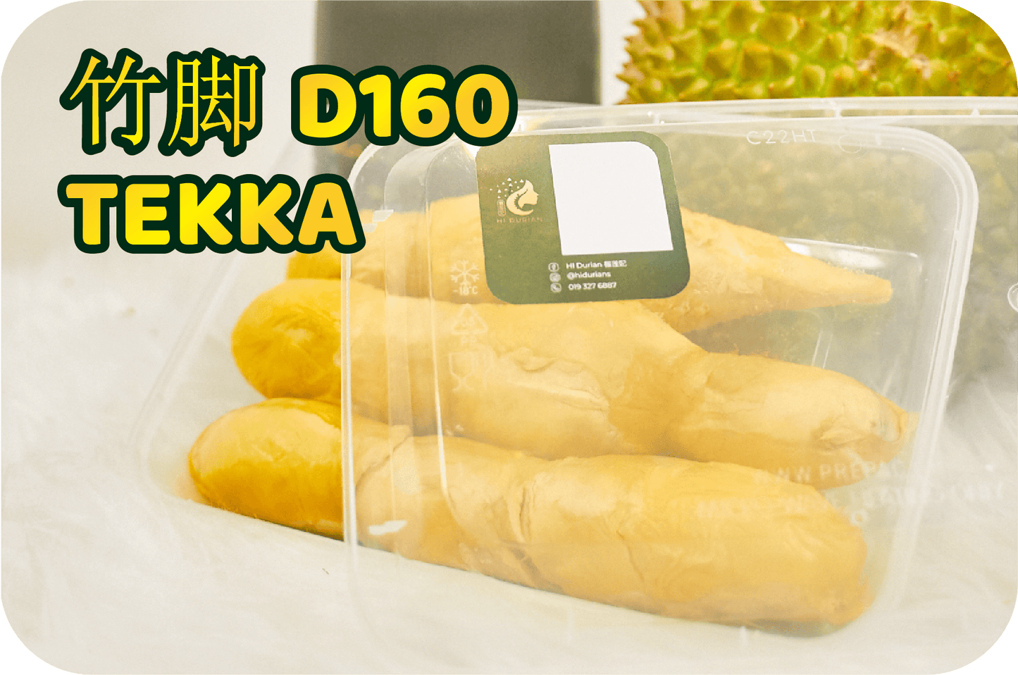 FRESH TEKKA D160 竹脚