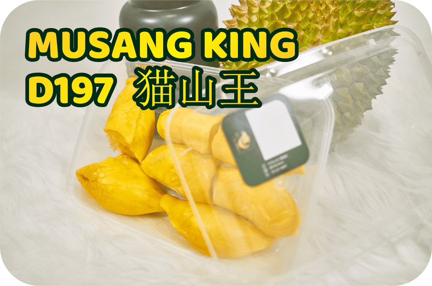 FRESH MUSANG KING