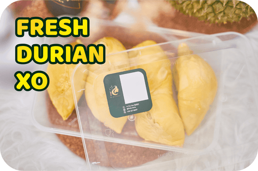 FRESH DURIAN XO