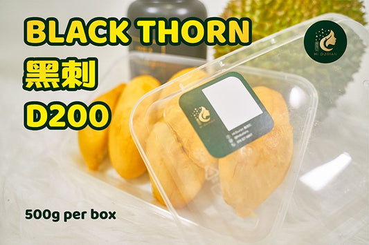 BLACK THORN